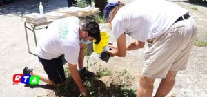 Piantumazione alberi Associazione Carbon Negative