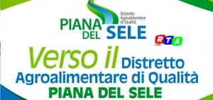 piana-del-sele-agroalimentare-RTAlive