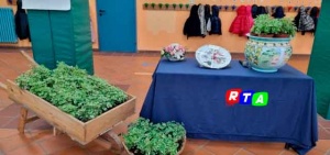 giornata-alberi-istituto-comprensivo-nocera-inferiore-RTAlive