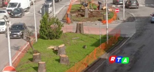 Alberi abbattuti a largo De Gasperi, San Marzano sul Sarno