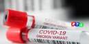 omicron-variante-covid19-RTAlive