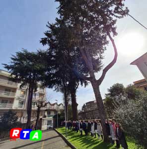 2-alberi-monumentali-RTAlive