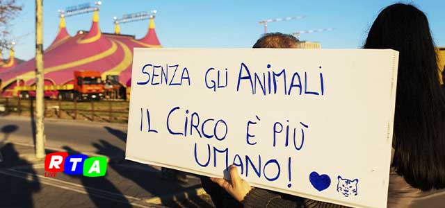 3-tutti-liberi-animali-circo-Veg-in-Campania-Salerno-RTAlive