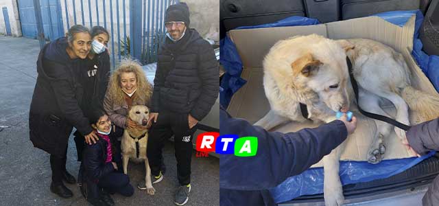 CANE-ANDRIA-FISCIANO-RITROVATO-RTAlive