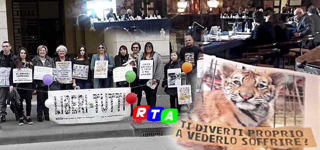 animali-circo-Veg-in-Campania-Salerno-RTAlive