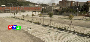 alberi-parcheggio-via-canale-nocera-inferiore-RTAlive