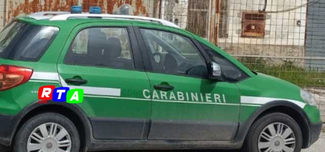 carabinieri-forestali-RTAlive