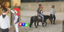 equitazione-gratuita-bambini-guerra-ucraini-RTAlive