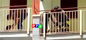 cane-abbandonato-fuori-balcone-con-catena-salvato-RTAlive