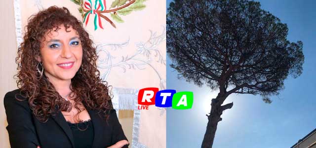 sindaca-zuottolo-albero-abbattuto-RTAlive