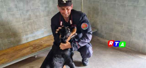 carabinieri-forestali-cane-salvato-nocera-inferiore-rottweiler-RTAlive