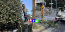 alberi-nocera-superiore-potatura-piano-decoro-urbano-RTAlive