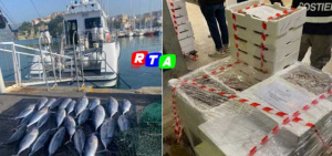 pesce-sequestrato-avariato-guardia-costiera-Salerno-RTAlive