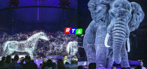 Circus-Atmosphere-salerno-RTAlive