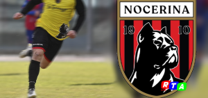 nocerina1910 molossi calcio giocatore RTAlive