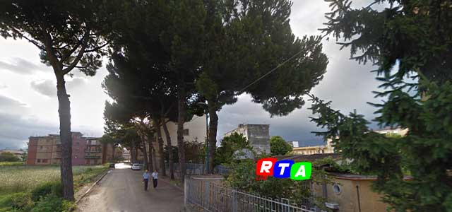 prima-alberi-taglaiti-pompei-abattuti-Pini-RTAlive