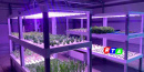 2-Profagri-Vertical-Farm-coltiviamo-il-futuro-RTAlive