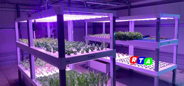 2-Profagri-Vertical-Farm-coltiviamo-il-futuro-RTAlive