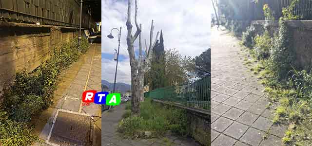 foto-erbacce-nocera-inferiore-d'alessandro-RTAlive