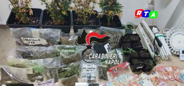 droga-cannabis-carabinieri-RTAlive