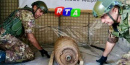 bomba-battipaglia-esercito-italiano-RTAlive