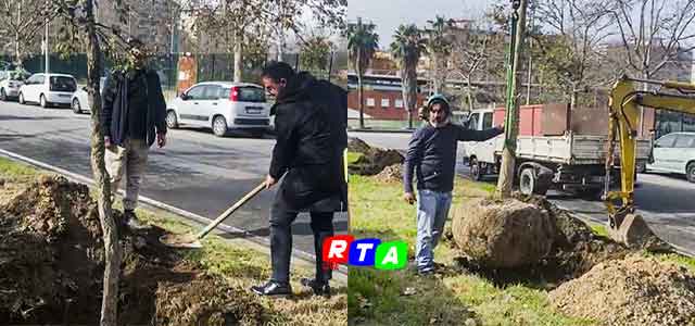 salerno-pulita-piantumazione-alberi-RTAlive