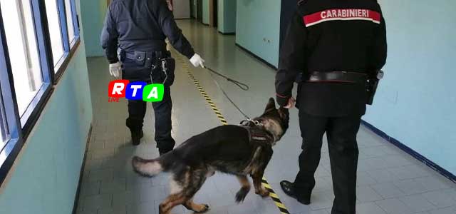 controlli-cani-antidroga-scuola-carabinieri-RTAlive