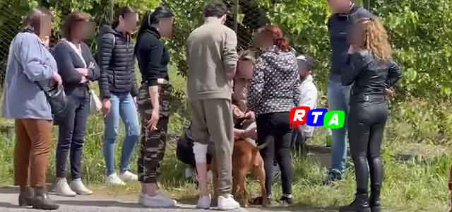 1-cane-pitbul-uccide-bimbo-eboli-zio-ferito-RTAlive