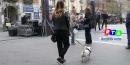 Cane-padrone-proprietario-animali-RTAlive