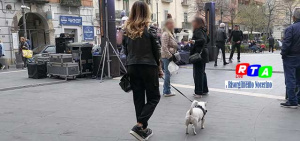 Cane-padrone-proprietario-animali-RTAlive