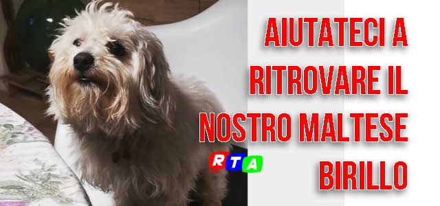 Furto In Abitazione A Pagani Oltre I Danni Anche La Perdita Del Cane