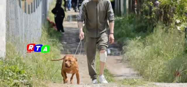 cane-pitbul-uccide-bimbo-eboli-zio-ferito-RTAlive