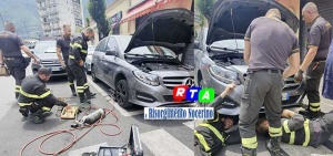 recupero-gattino-vigili-del-fuoco-Nocera-Inferiore-RTAlive