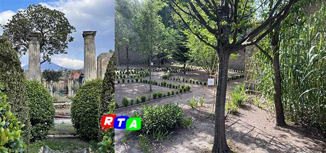 pompei-primo-premio-ex-aequo-rtalive