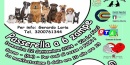 passarella-a-6-zampe-rtalive-cani-animali-di-affezione