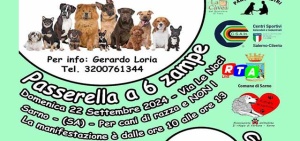 passarella-a-6-zampe-rtalive-cani-animali-di-affezione