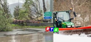 albero-caduto-sarno-disagi-neve-agricoltura-rtalive