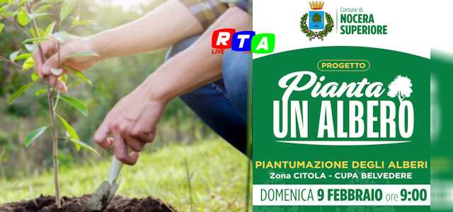 pianta-un-albero-nocera-superiore-rtalive