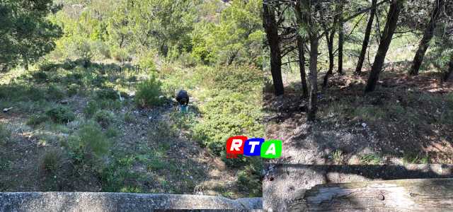 piantumazione-alberi-roccapiemonte-rtalive