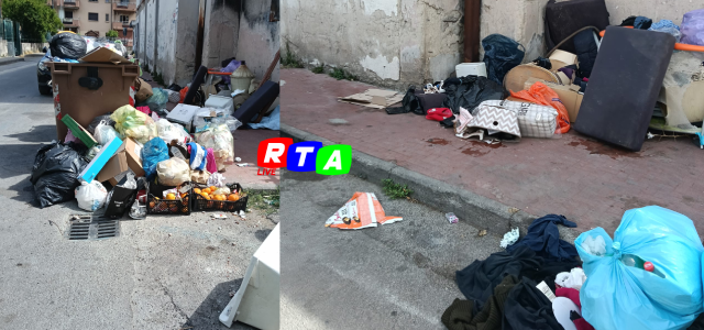 alt=
