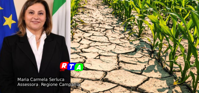 alt=Siccità, dalla Regione Campania più gasolio agricolo agevolato per sostenere le aziende